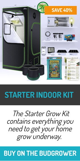 Starter Indoor Kit